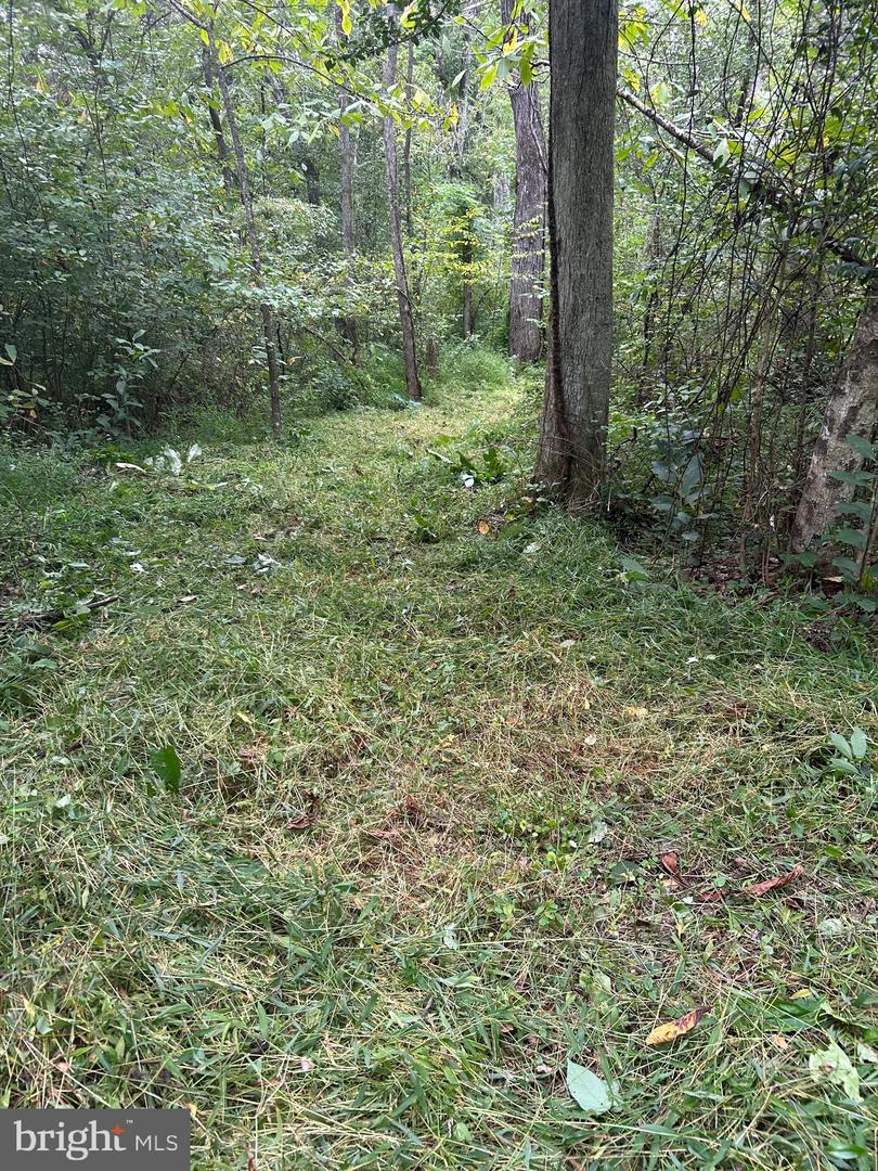 LUTTREVILLE LN, FARNHAM, Virginia 22460, ,Land,For sale,LUTTREVILLE LN,VARV2000552 MLS # VARV2000552