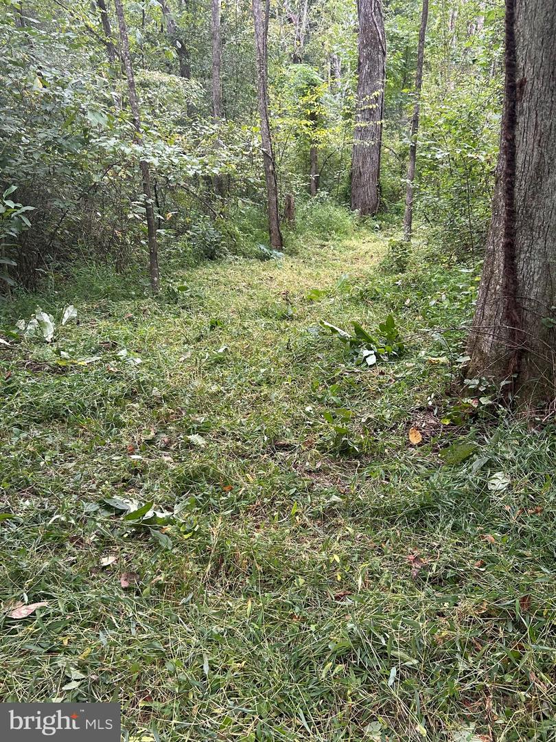 LUTTREVILLE LN, FARNHAM, Virginia 22460, ,Land,For sale,LUTTREVILLE LN,VARV2000552 MLS # VARV2000552