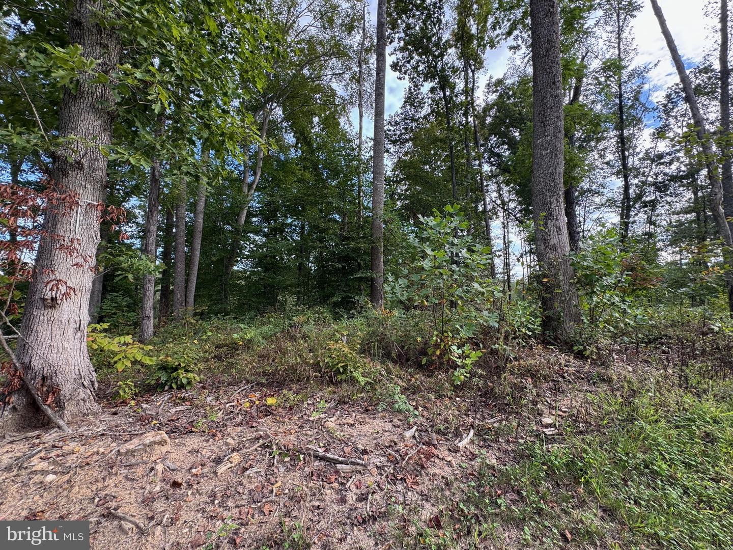 LOT 64 COMPASS COVE, MINERAL, Virginia 23117, ,Land,For sale,LOT 64 COMPASS COVE,VALA2008642 MLS # VALA2008642