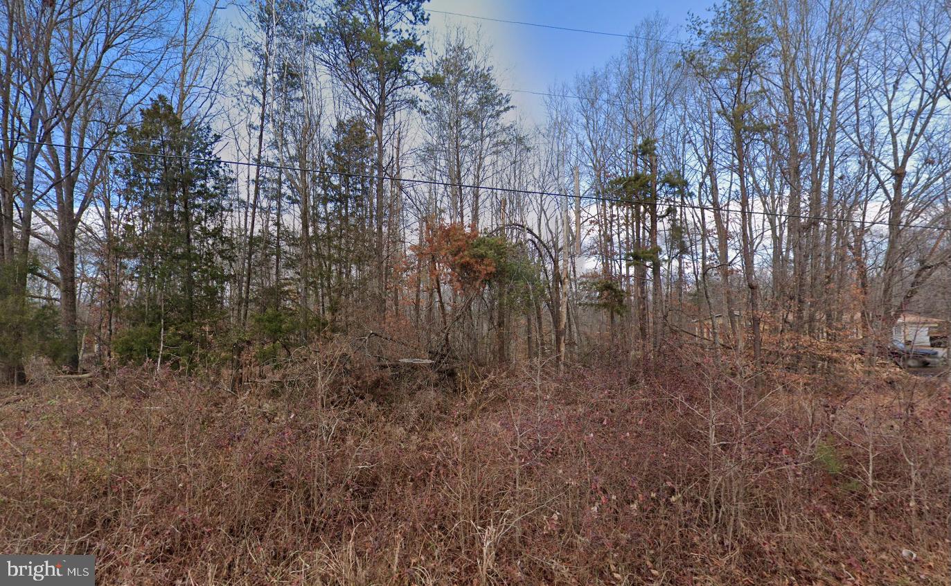9236 MILL POND RD, SPOTSYLVANIA, Virginia 22551, ,Land,For sale,9236 MILL POND RD,VASP2036524 MLS # VASP2036524