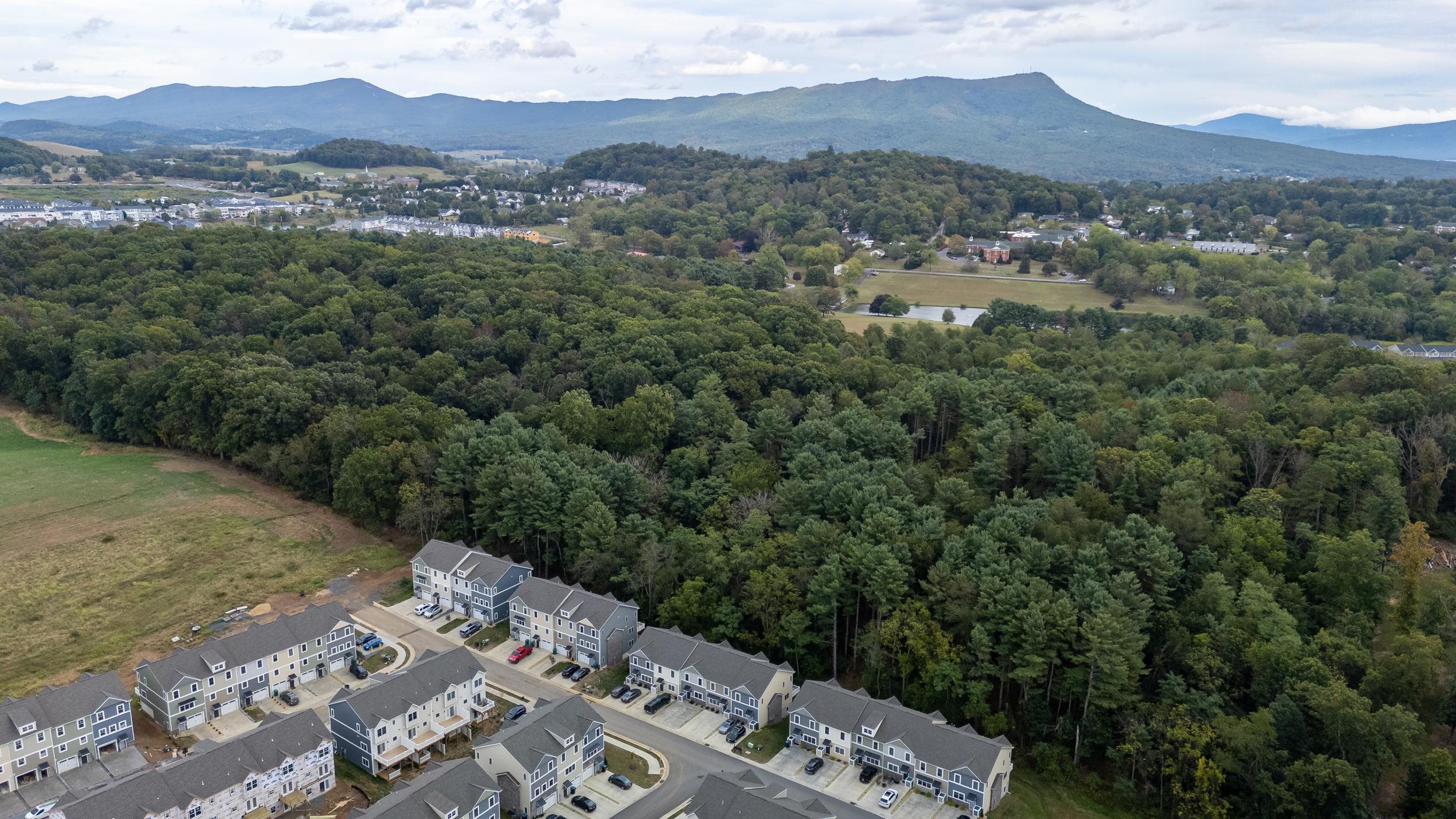 1575 PALOMINO TRL, ROCKINGHAM, Virginia 22801, 4 Bedrooms Bedrooms, ,3 BathroomsBathrooms,Residential,1575 PALOMINO TRL,669487 MLS # 669487
