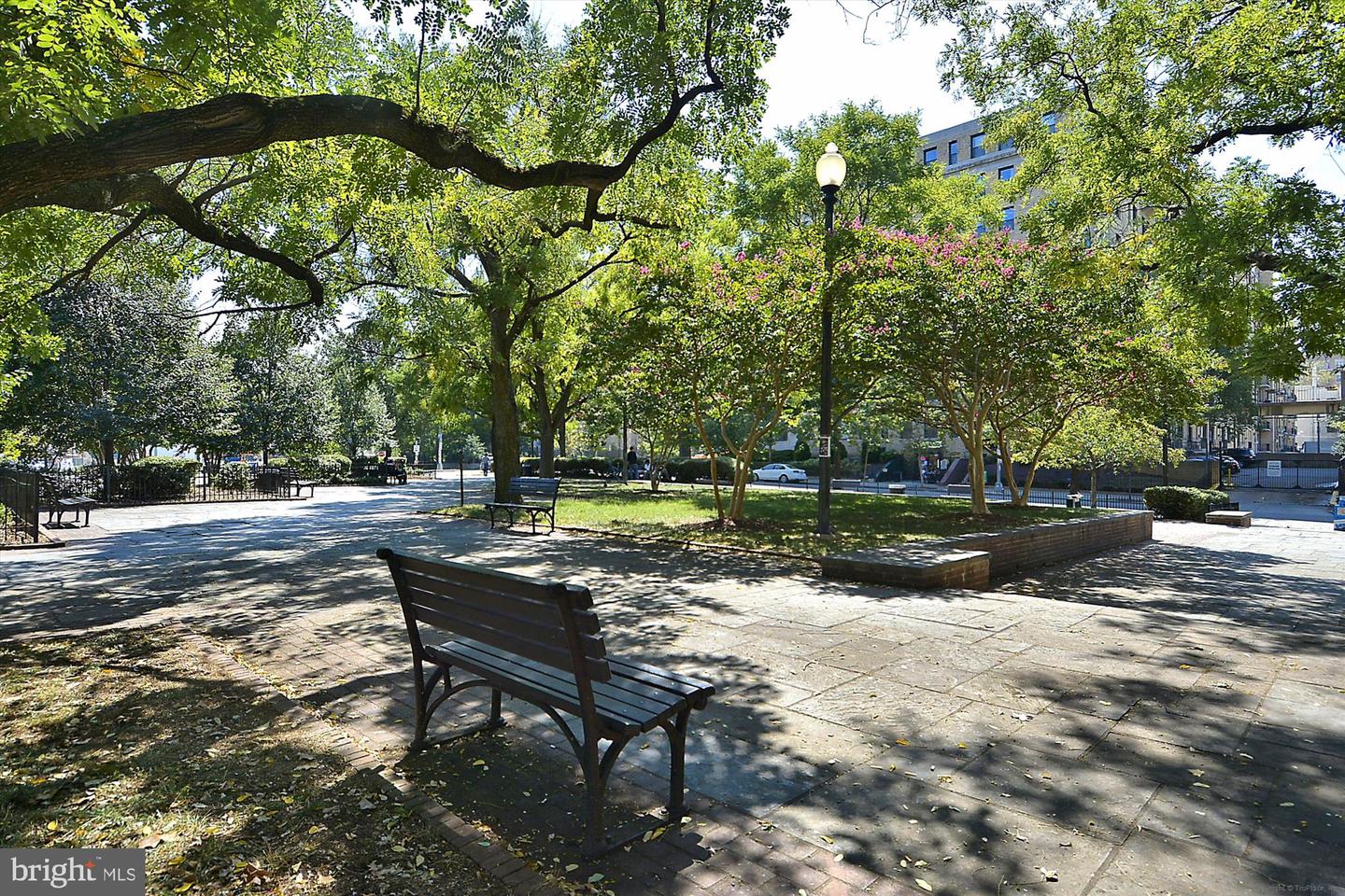 1128 COLUMBIA RD NW #1, WASHINGTON, District Of Columbia 20009, 2 Bedrooms Bedrooms, 11 Rooms Rooms,2 BathroomsBathrooms,Residential,For sale,1128 COLUMBIA RD NW #1,DCDC2223784 MLS # DCDC2223784