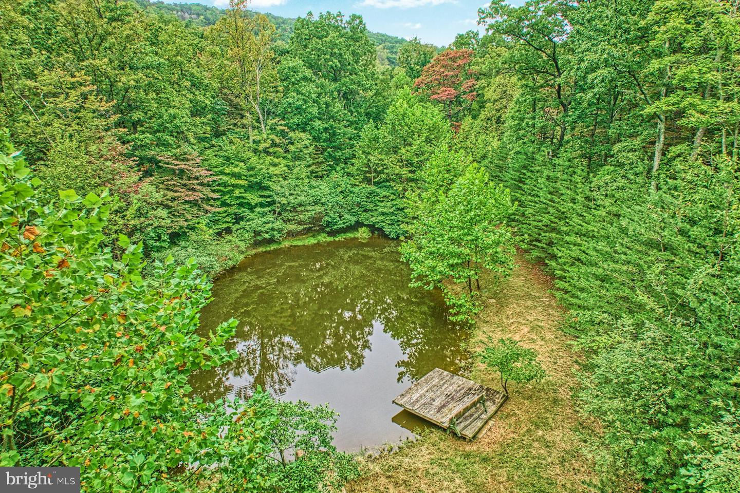 37740 LONG LN, LOVETTSVILLE, Virginia 20180, 4 Bedrooms Bedrooms, ,3 BathroomsBathrooms,Residential,For sale,37740 LONG LN,VALO2107512 MLS # VALO2107512