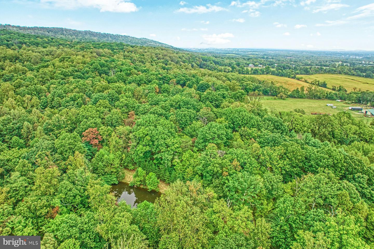 37740 LONG LN, LOVETTSVILLE, Virginia 20180, 4 Bedrooms Bedrooms, ,3 BathroomsBathrooms,Residential,For sale,37740 LONG LN,VALO2107512 MLS # VALO2107512