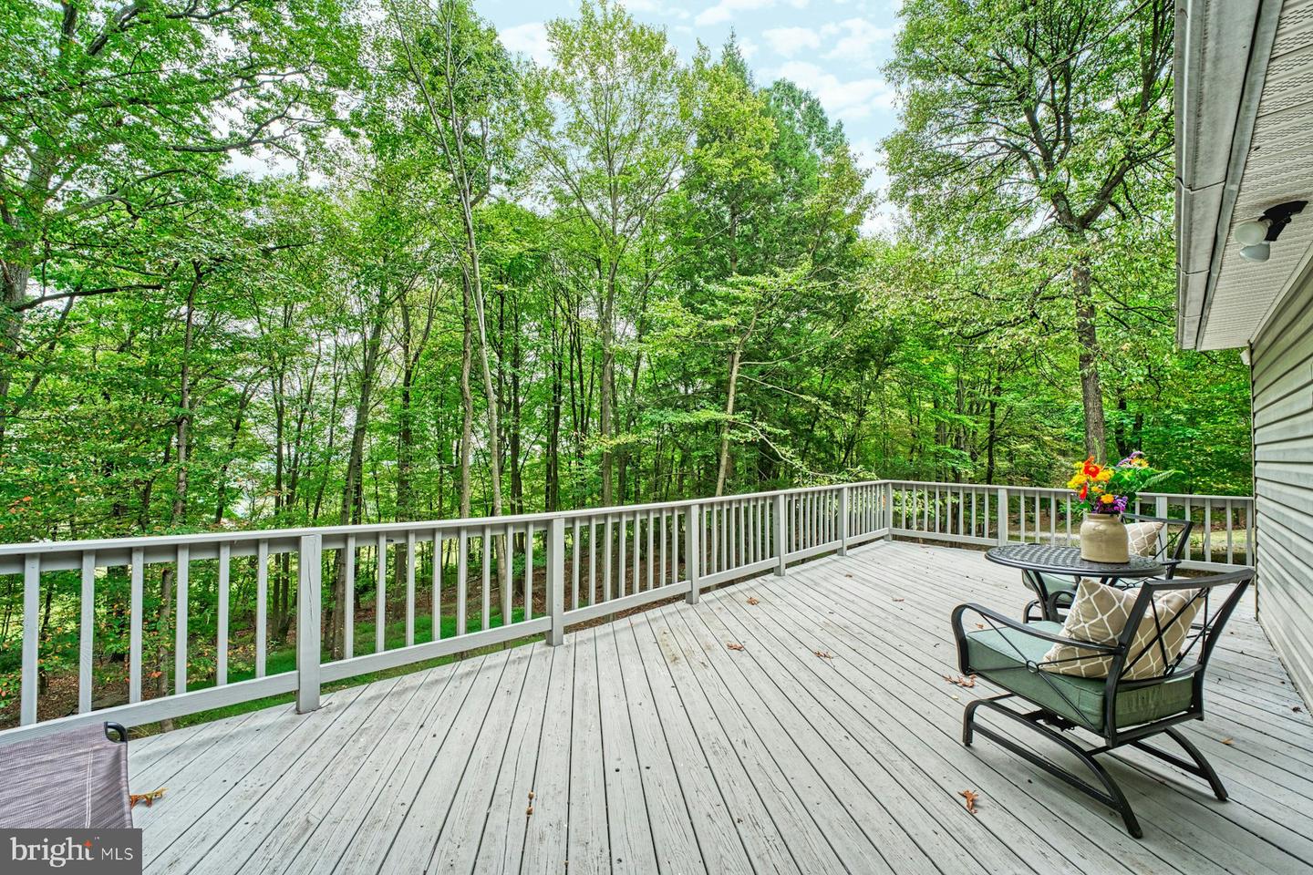 37740 LONG LN, LOVETTSVILLE, Virginia 20180, 4 Bedrooms Bedrooms, ,3 BathroomsBathrooms,Residential,For sale,37740 LONG LN,VALO2107512 MLS # VALO2107512