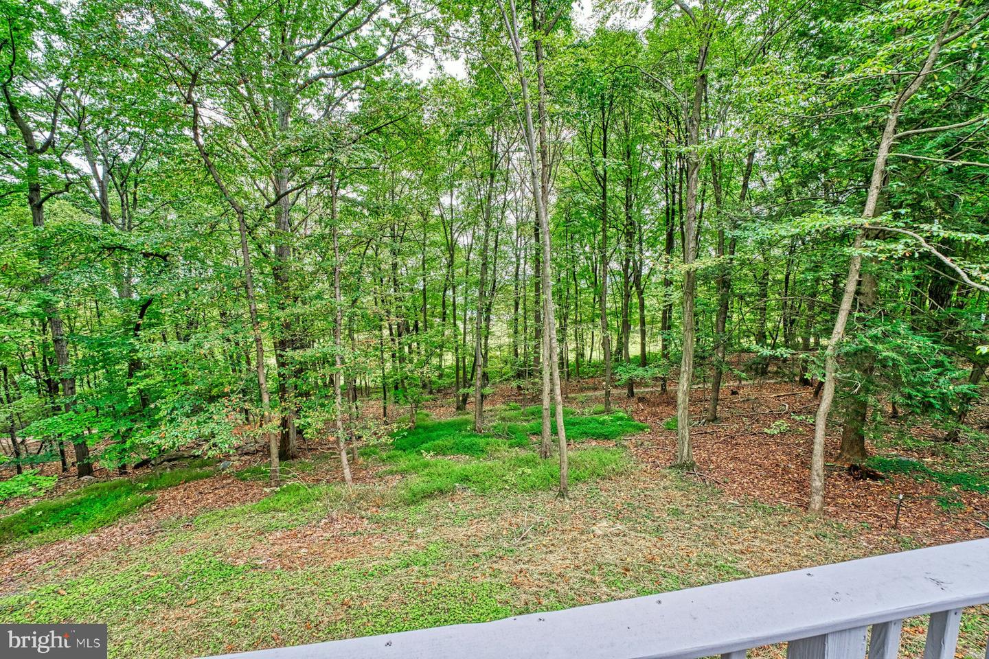 37740 LONG LN, LOVETTSVILLE, Virginia 20180, 4 Bedrooms Bedrooms, ,3 BathroomsBathrooms,Residential,For sale,37740 LONG LN,VALO2107512 MLS # VALO2107512
