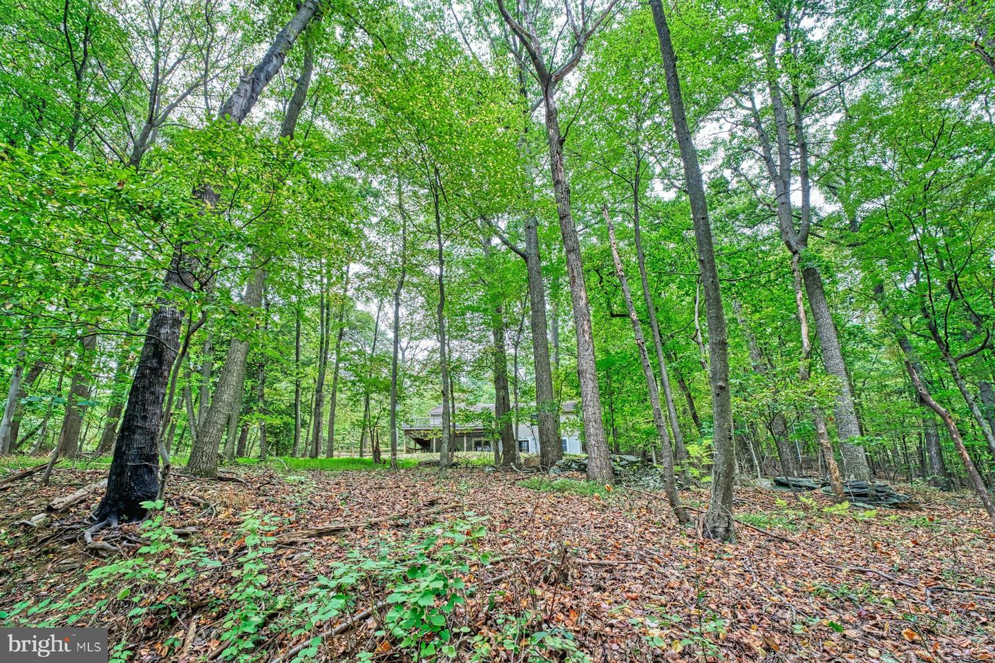 37740 LONG LN, LOVETTSVILLE, Virginia 20180, 4 Bedrooms Bedrooms, ,3 BathroomsBathrooms,Residential,For sale,37740 LONG LN,VALO2107512 MLS # VALO2107512