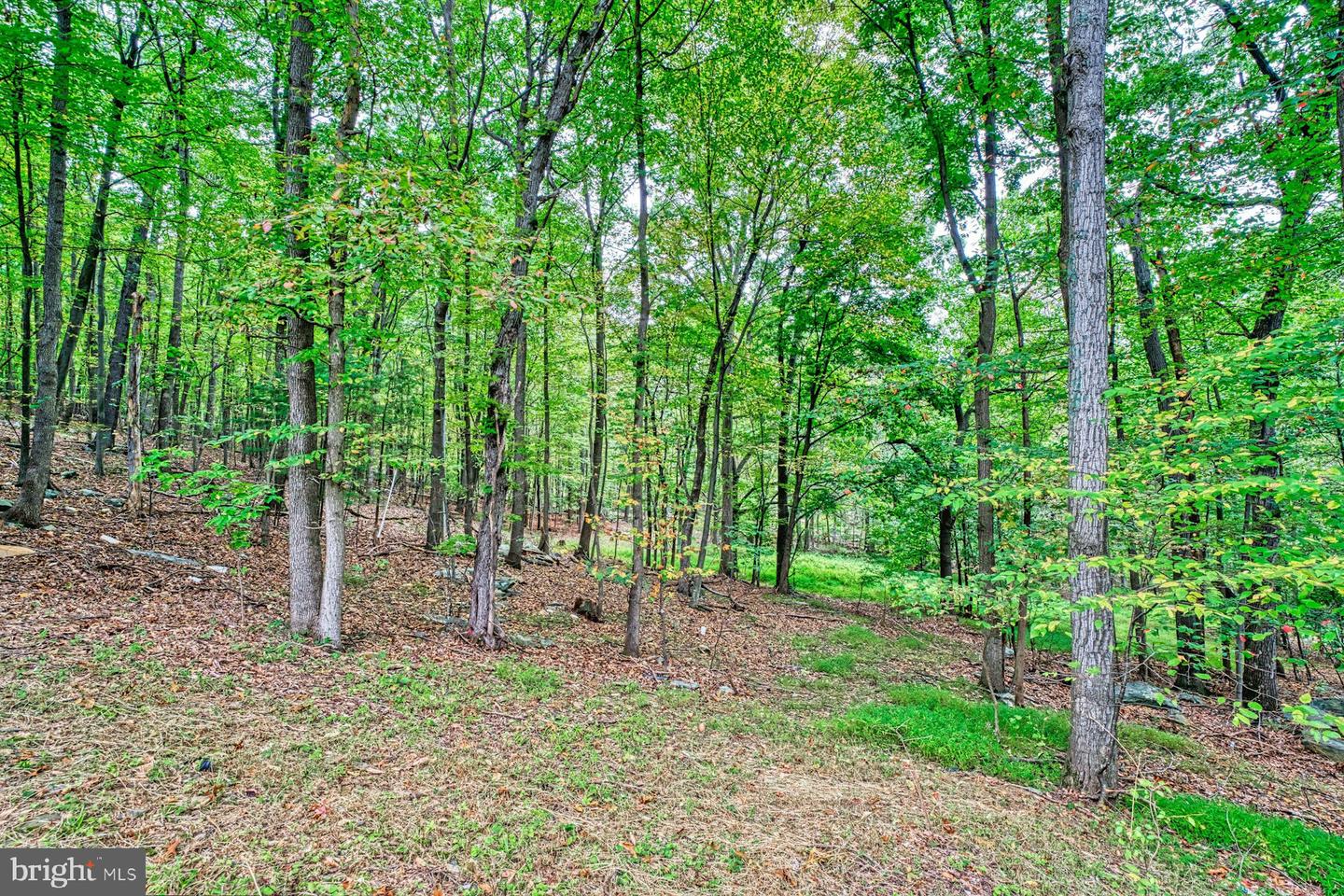 37740 LONG LN, LOVETTSVILLE, Virginia 20180, 4 Bedrooms Bedrooms, ,3 BathroomsBathrooms,Residential,For sale,37740 LONG LN,VALO2107512 MLS # VALO2107512