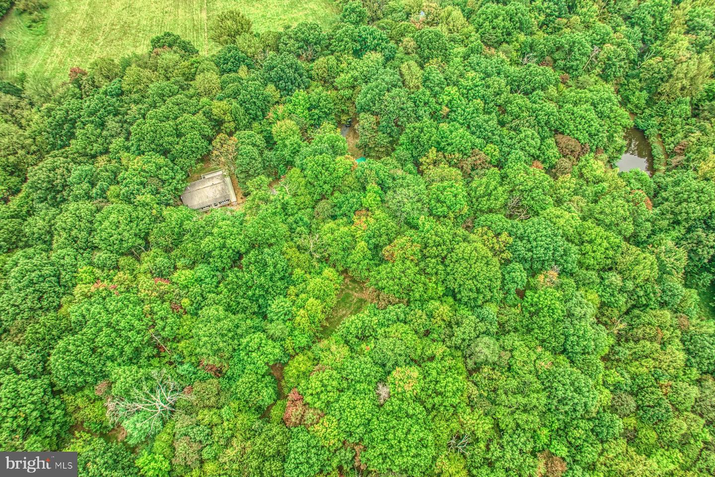 37740 LONG LN, LOVETTSVILLE, Virginia 20180, 4 Bedrooms Bedrooms, ,3 BathroomsBathrooms,Residential,For sale,37740 LONG LN,VALO2107512 MLS # VALO2107512