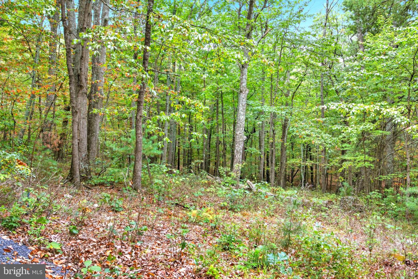 974 SUNDANCE RETREAT LN, NEW MARKET, Virginia 22844, 2 Bedrooms Bedrooms, ,1 BathroomBathrooms,Residential,For sale,974 SUNDANCE RETREAT LN,VASH2012638 MLS # VASH2012638
