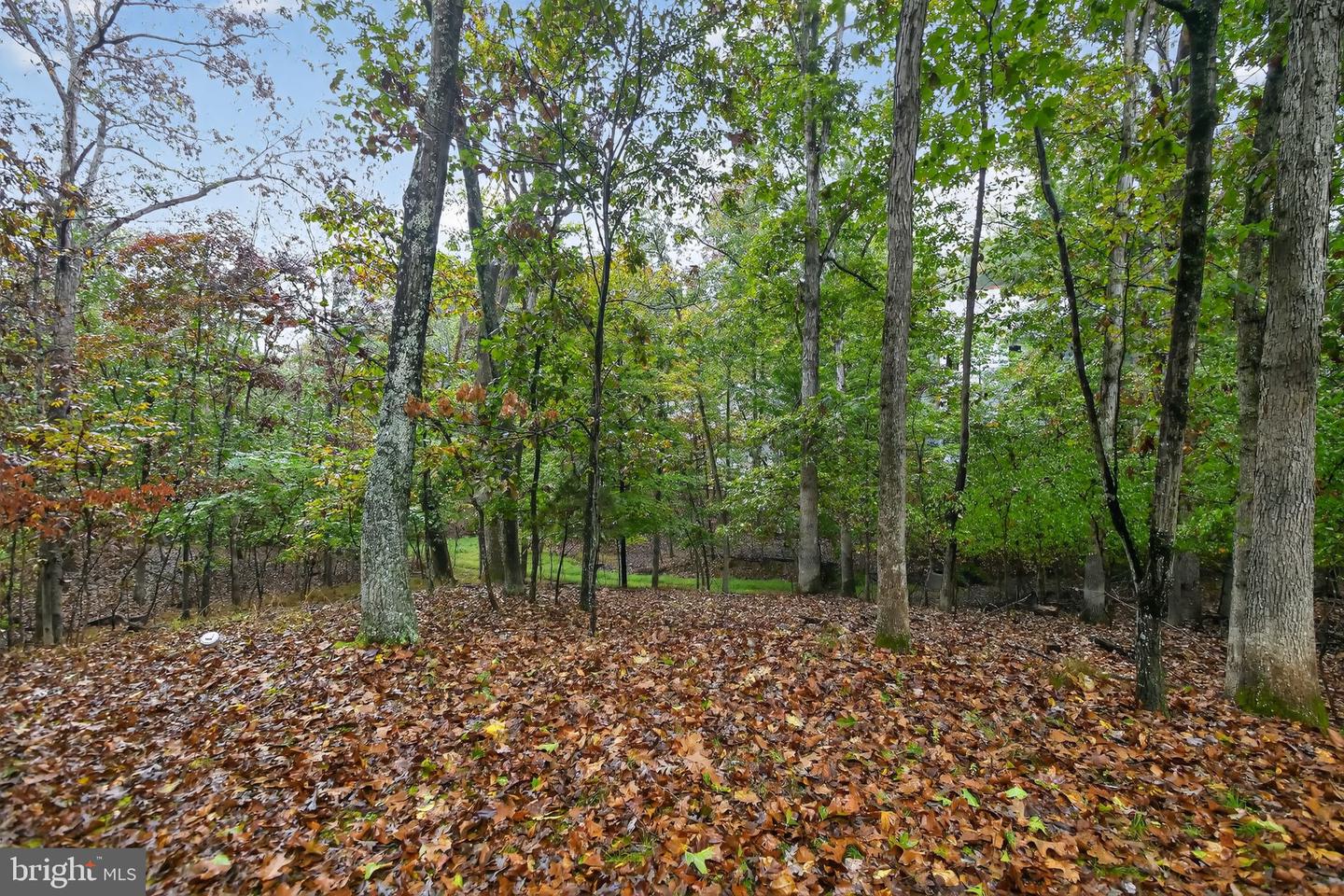 1251 LAKEVIEW DR, CROSS JUNCTION, Virginia 22625, 2 Bedrooms Bedrooms, ,2 BathroomsBathrooms,Residential,For sale,1251 LAKEVIEW DR,VAFV2037098 MLS # VAFV2037098
