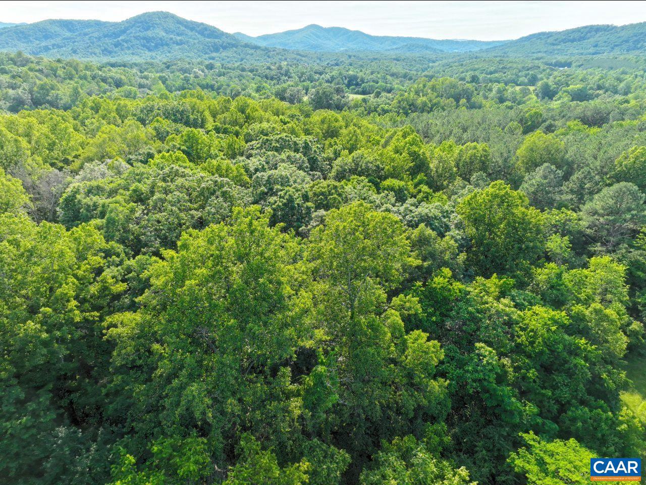 243 HUFF CREEK TRL, AMHERST, Virginia 24521, 3 Bedrooms Bedrooms, ,3 BathroomsBathrooms,Residential,For sale,243 HUFF CREEK TRL,669484 MLS # 669484