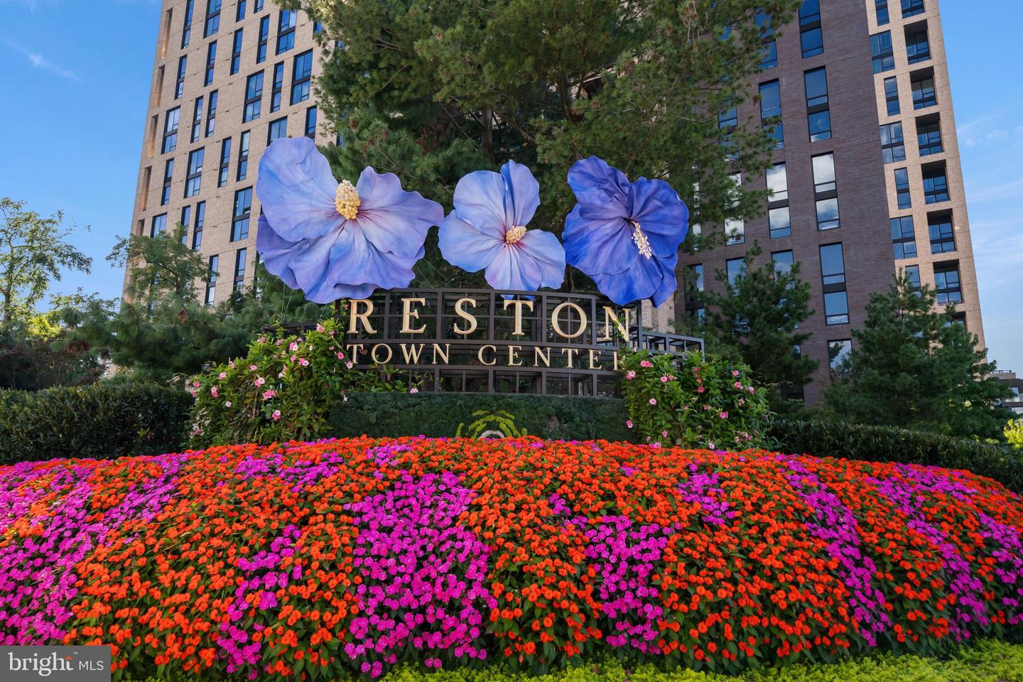 1422 NORTHGATE SQ #22/1A, RESTON, Virginia 20190, 1 Bedroom Bedrooms, ,1 BathroomBathrooms,Residential,For sale,1422 NORTHGATE SQ #22/1A,VAFX2267958 MLS # VAFX2267958 1422 NORTHGATE SQ #22/1A, RESTON, Virginia 20190, 1 Bedroom Bedrooms, ,1 BathroomBathrooms,Residential,For sale,1422 NORTHGATE SQ #22/1A,VAFX2267958 MLS # VAFX2267958