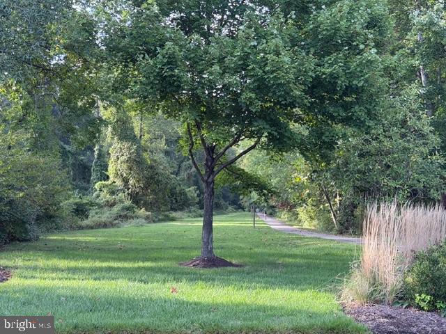 5295 COZY GLEN LN, ALEXANDRIA, Virginia 22312, 3 Bedrooms Bedrooms, ,2 BathroomsBathrooms,Residential,For sale,5295 COZY GLEN LN,VAFX2269034 MLS # VAFX2269034 5295 COZY GLEN LN, ALEXANDRIA, Virginia 22312, 3 Bedrooms Bedrooms, ,2 BathroomsBathrooms,Residential,For sale,5295 COZY GLEN LN,VAFX2269034 MLS # VAFX2269034