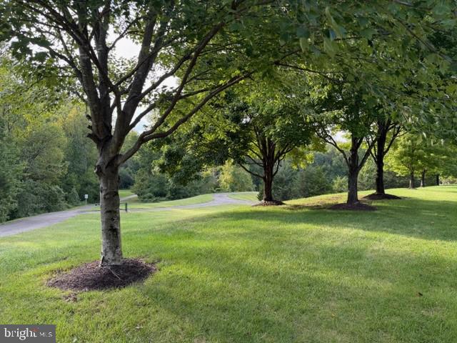 5295 COZY GLEN LN, ALEXANDRIA, Virginia 22312, 3 Bedrooms Bedrooms, ,2 BathroomsBathrooms,Residential,For sale,5295 COZY GLEN LN,VAFX2269034 MLS # VAFX2269034 5295 COZY GLEN LN, ALEXANDRIA, Virginia 22312, 3 Bedrooms Bedrooms, ,2 BathroomsBathrooms,Residential,For sale,5295 COZY GLEN LN,VAFX2269034 MLS # VAFX2269034