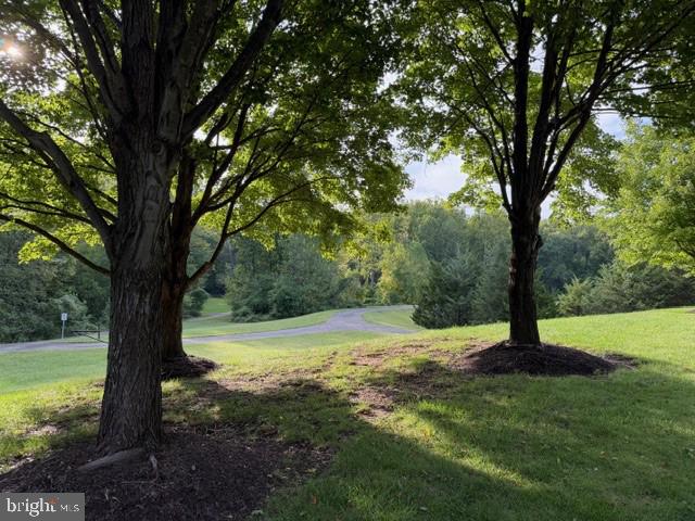 5295 COZY GLEN LN, ALEXANDRIA, Virginia 22312, 3 Bedrooms Bedrooms, ,2 BathroomsBathrooms,Residential,For sale,5295 COZY GLEN LN,VAFX2269034 MLS # VAFX2269034 5295 COZY GLEN LN, ALEXANDRIA, Virginia 22312, 3 Bedrooms Bedrooms, ,2 BathroomsBathrooms,Residential,For sale,5295 COZY GLEN LN,VAFX2269034 MLS # VAFX2269034