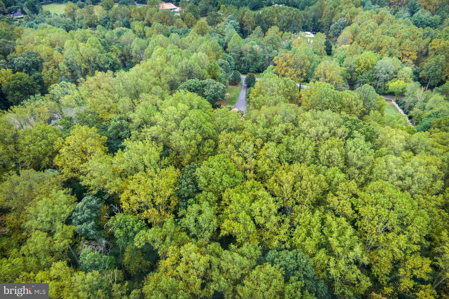 10702 MILKWEED DR, GREAT FALLS, Virginia 22066, 4 Bedrooms Bedrooms, 10 Rooms Rooms,4 BathroomsBathrooms,Residential,For sale,10702 MILKWEED DR,VAFX2269488 MLS # VAFX2269488