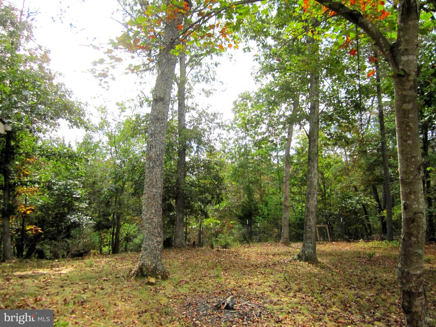 17 DAVIS CT, BASYE, Virginia 22810, ,Residential,For sale,17 DAVIS CT,VASH2012326 MLS # VASH2012326