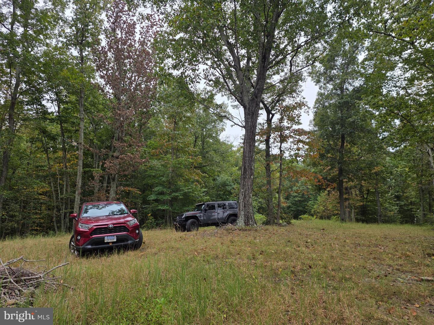 LAND SUNSET WOODS TRAIL, RIXEYVILLE, Virginia 22737, ,Land,For sale,LAND SUNSET WOODS TRAIL,VACU2011688 MLS # VACU2011688