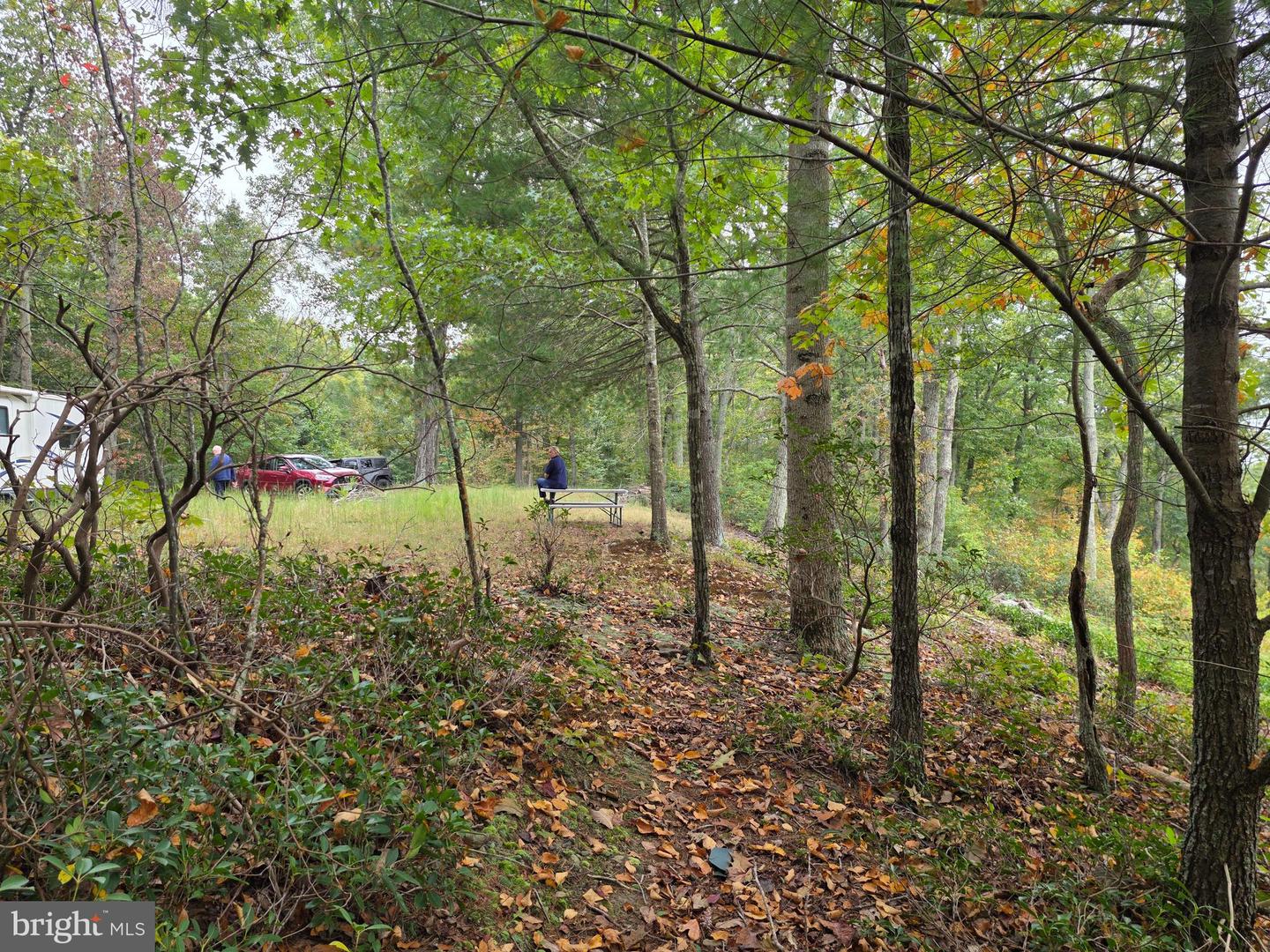 LAND SUNSET WOODS TRAIL, RIXEYVILLE, Virginia 22737, ,Land,For sale,LAND SUNSET WOODS TRAIL,VACU2011688 MLS # VACU2011688