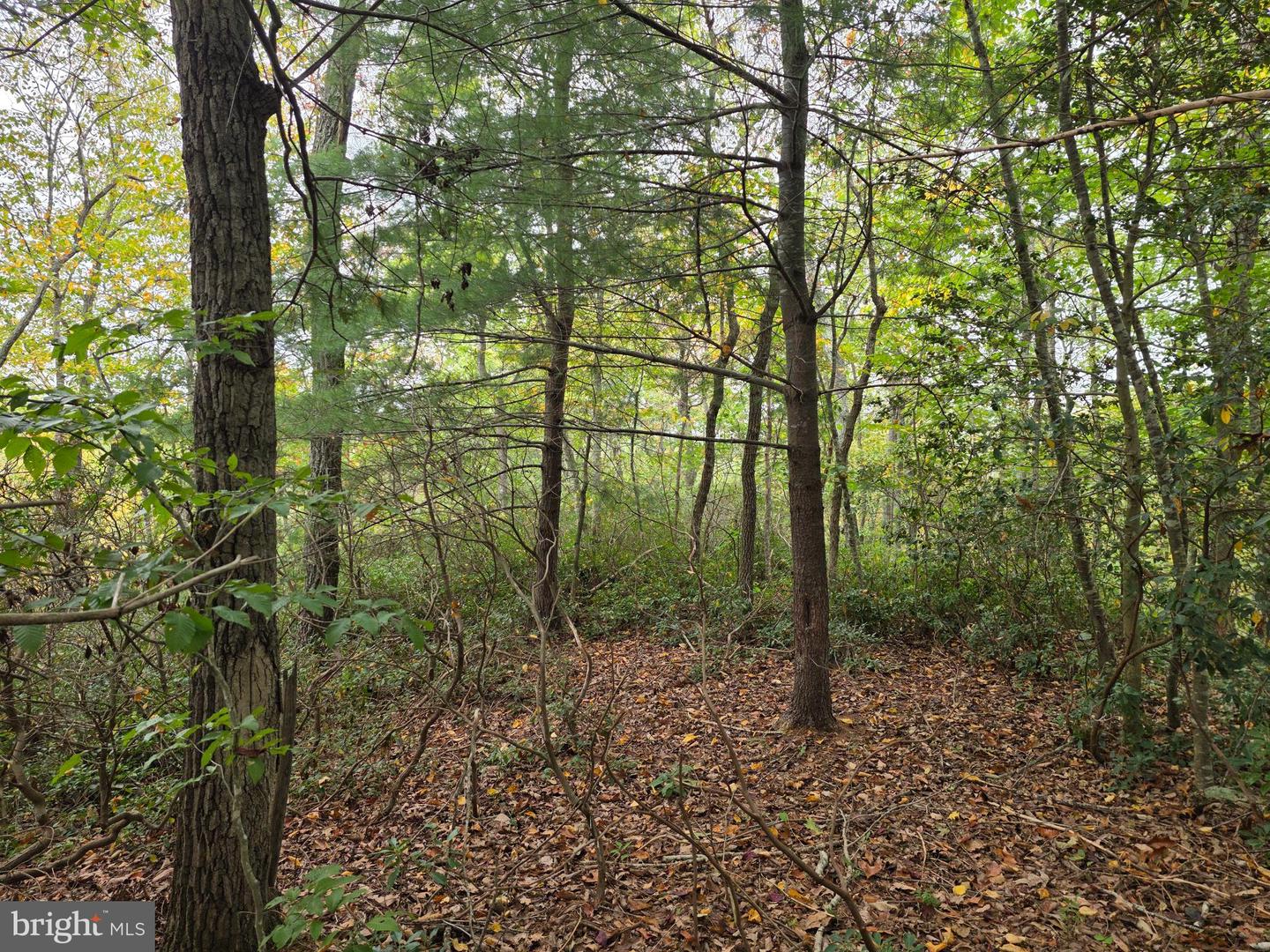 LAND SUNSET WOODS TRAIL, RIXEYVILLE, Virginia 22737, ,Land,For sale,LAND SUNSET WOODS TRAIL,VACU2011688 MLS # VACU2011688