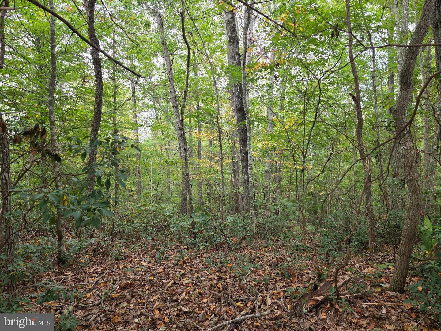 LAND SUNSET WOODS TRAIL, RIXEYVILLE, Virginia 22737, ,Land,For sale,LAND SUNSET WOODS TRAIL,VACU2011688 MLS # VACU2011688