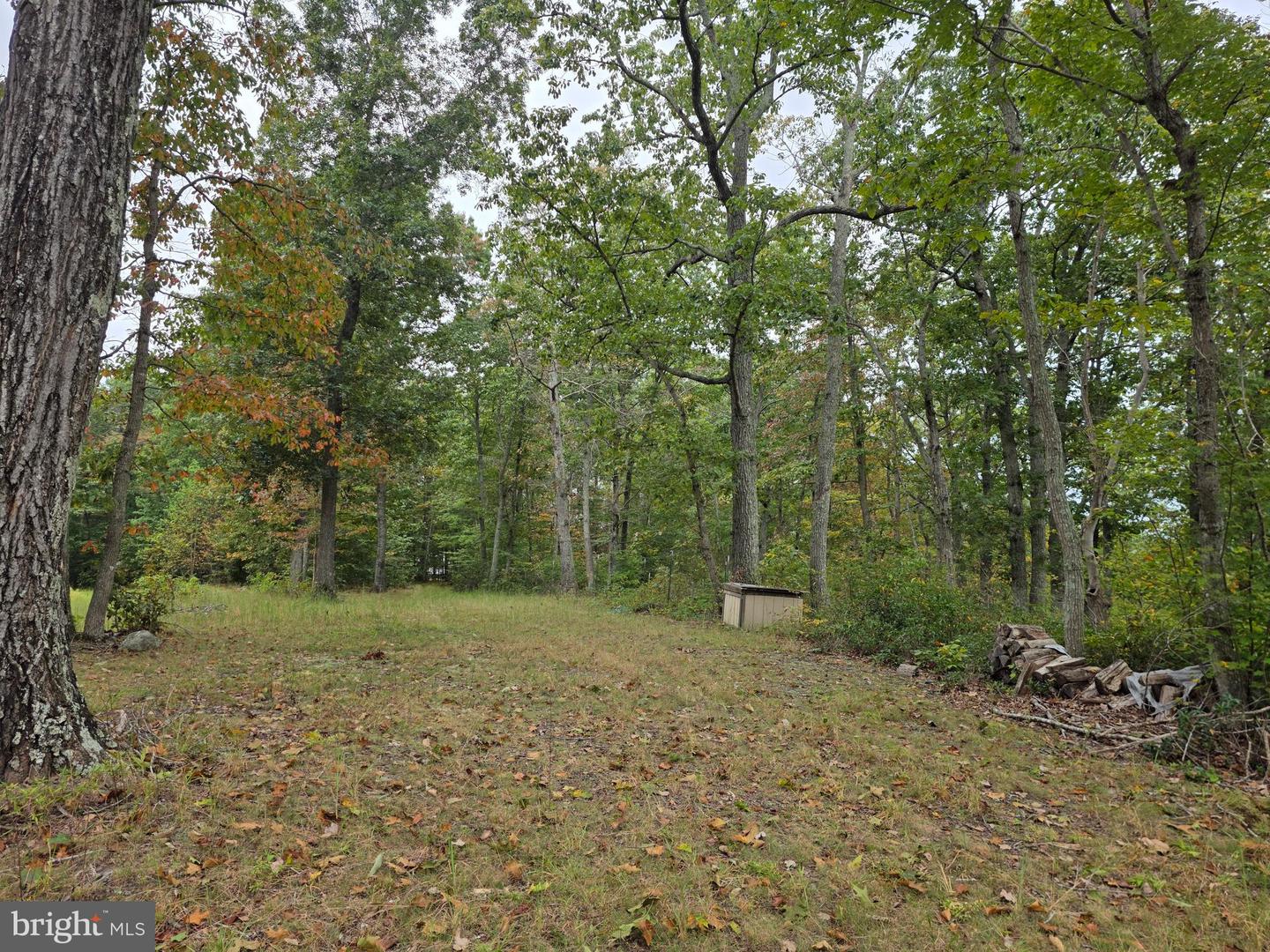 LAND SUNSET WOODS TRAIL, RIXEYVILLE, Virginia 22737, ,Land,For sale,LAND SUNSET WOODS TRAIL,VACU2011688 MLS # VACU2011688