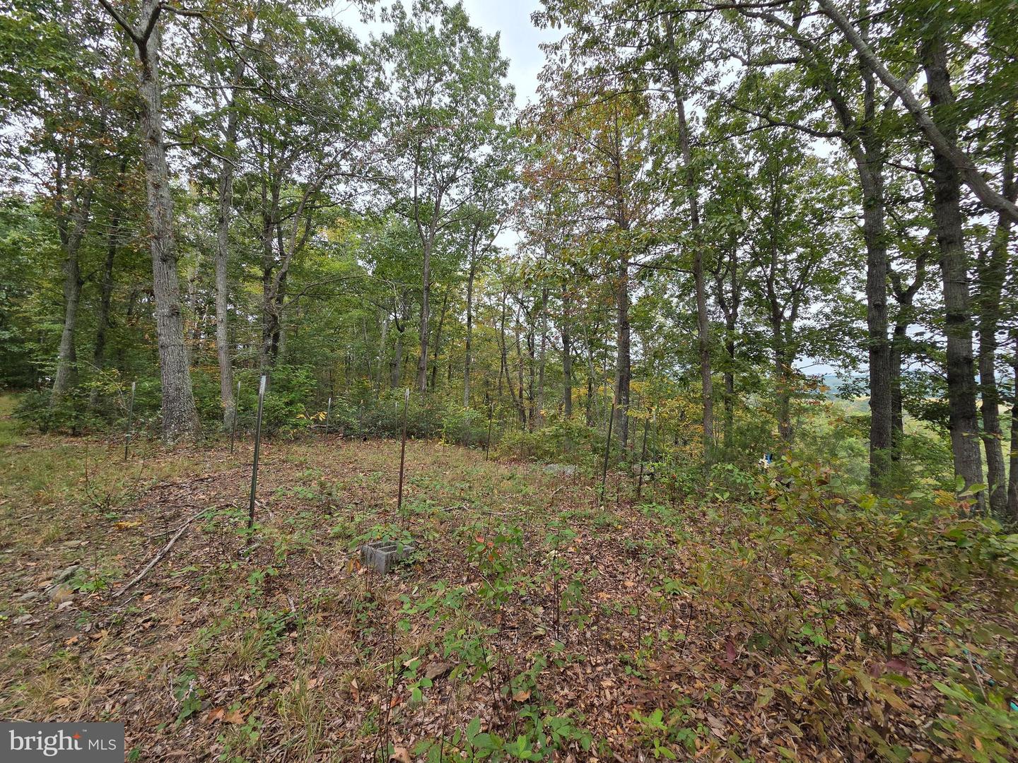 LAND SUNSET WOODS TRAIL, RIXEYVILLE, Virginia 22737, ,Land,For sale,LAND SUNSET WOODS TRAIL,VACU2011688 MLS # VACU2011688