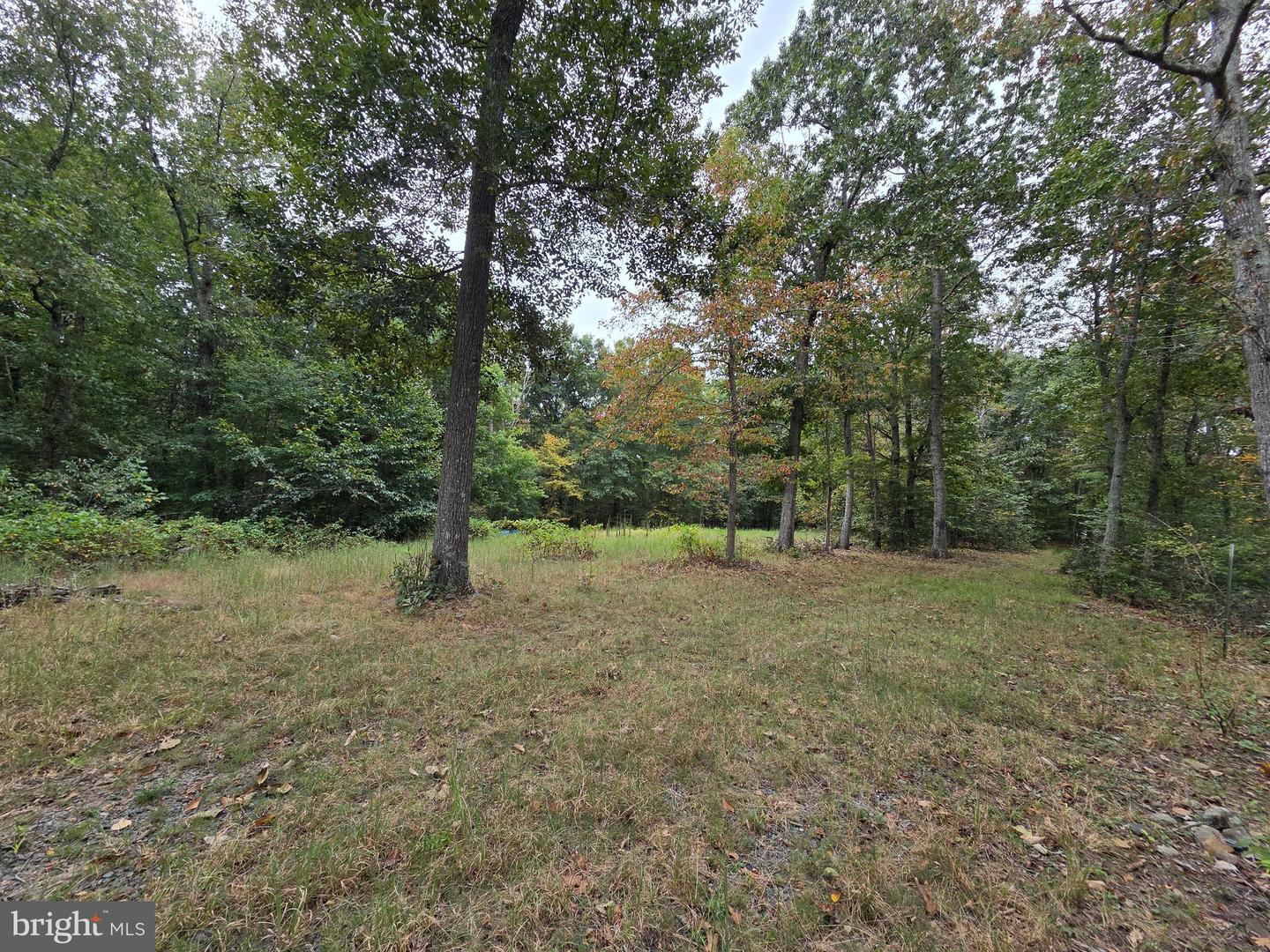 LAND SUNSET WOODS TRAIL, RIXEYVILLE, Virginia 22737, ,Land,For sale,LAND SUNSET WOODS TRAIL,VACU2011688 MLS # VACU2011688