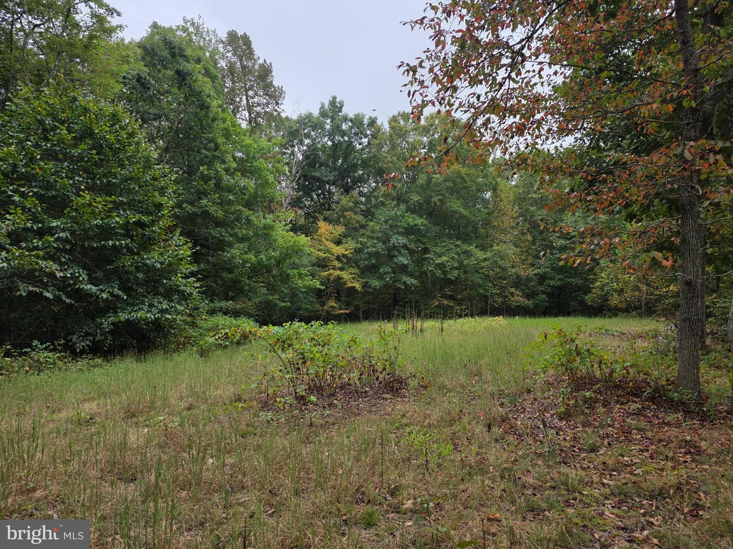 LAND SUNSET WOODS TRAIL, RIXEYVILLE, Virginia 22737, ,Land,For sale,LAND SUNSET WOODS TRAIL,VACU2011688 MLS # VACU2011688