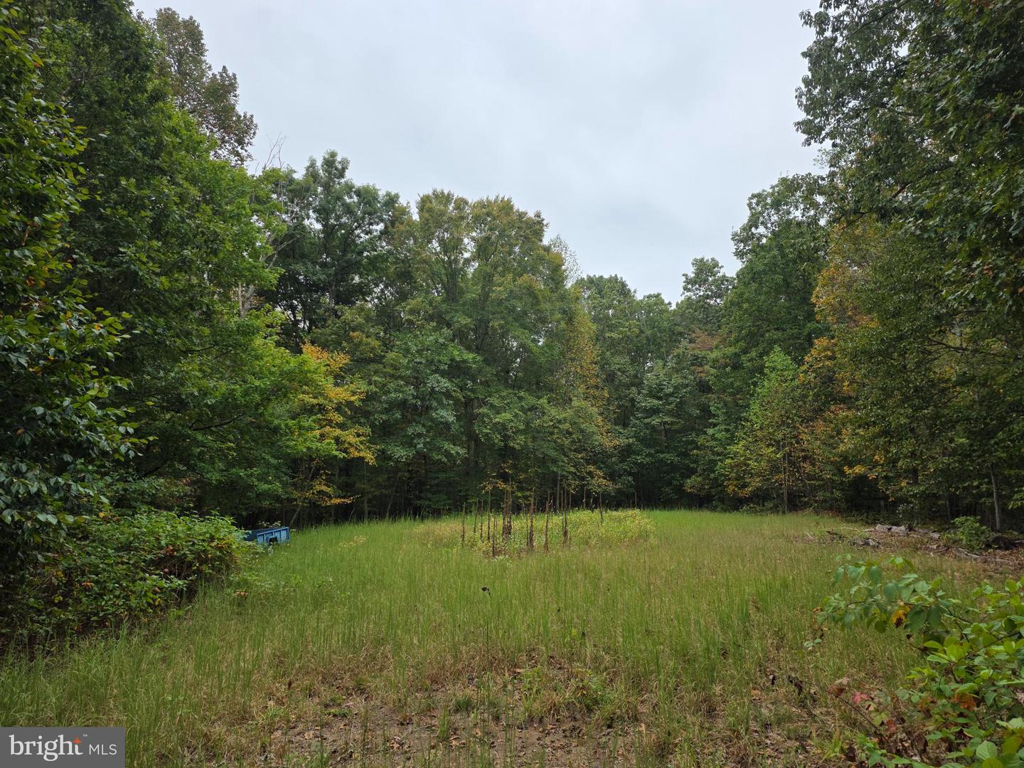 LAND SUNSET WOODS TRAIL, RIXEYVILLE, Virginia 22737, ,Land,For sale,LAND SUNSET WOODS TRAIL,VACU2011688 MLS # VACU2011688