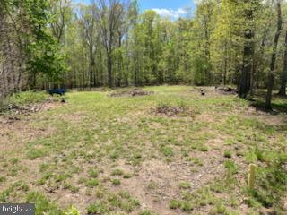LAND SUNSET WOODS TRAIL, RIXEYVILLE, Virginia 22737, ,Land,For sale,LAND SUNSET WOODS TRAIL,VACU2011688 MLS # VACU2011688