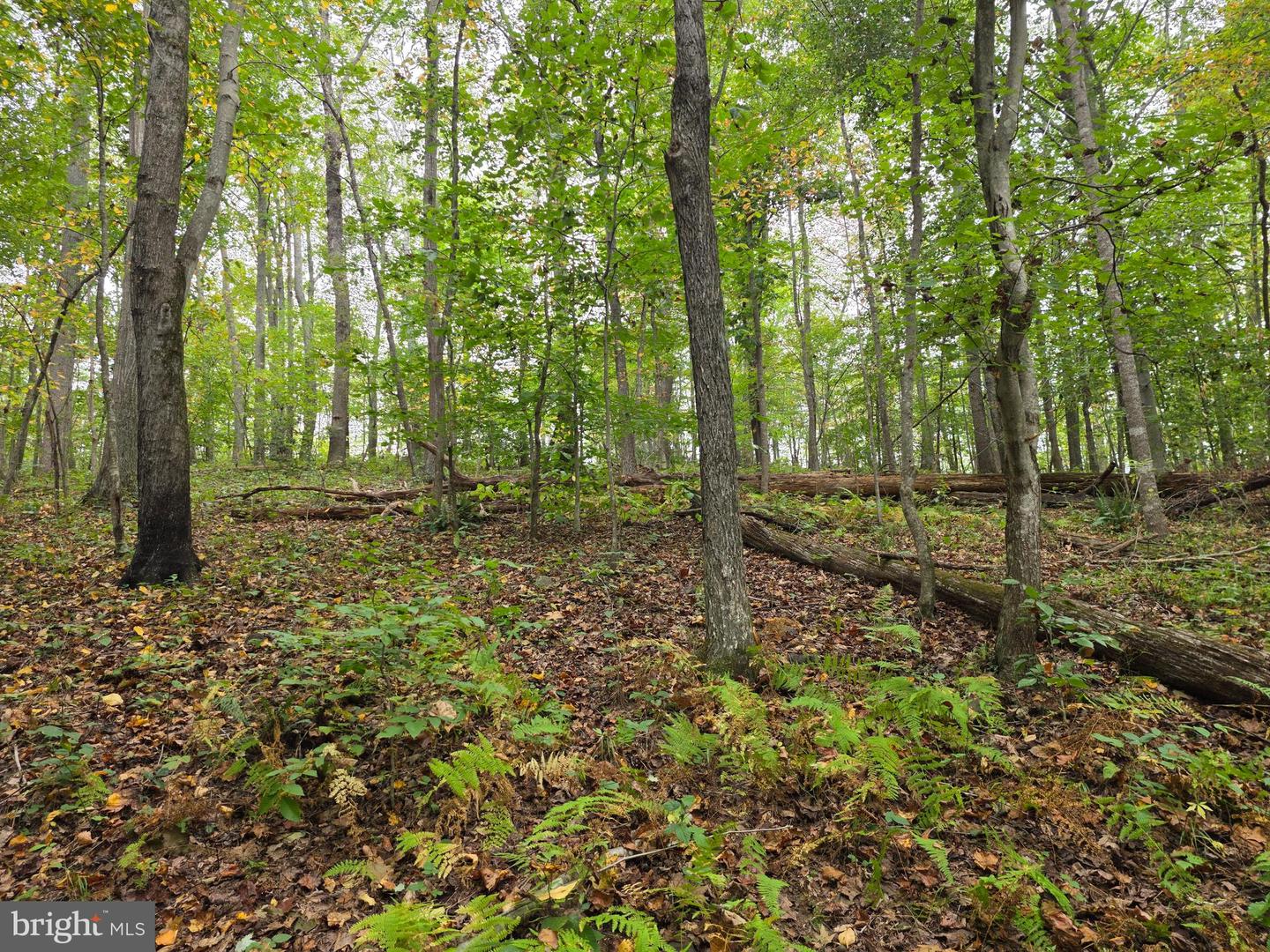 LAND SUNSET WOODS TRAIL, RIXEYVILLE, Virginia 22737, ,Land,For sale,LAND SUNSET WOODS TRAIL,VACU2011688 MLS # VACU2011688