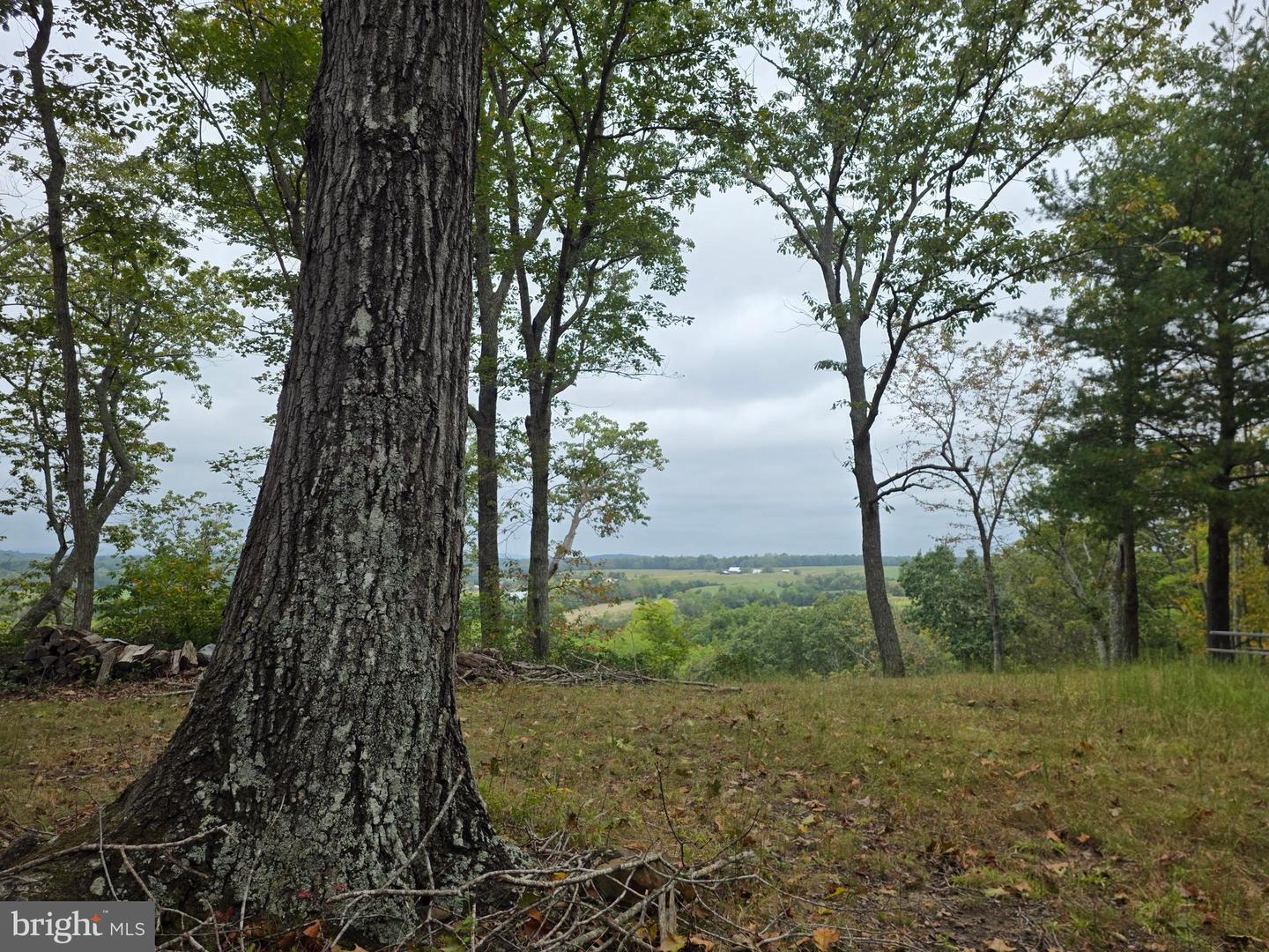 LAND SUNSET WOODS TRAIL, RIXEYVILLE, Virginia 22737, ,Land,For sale,LAND SUNSET WOODS TRAIL,VACU2011688 MLS # VACU2011688