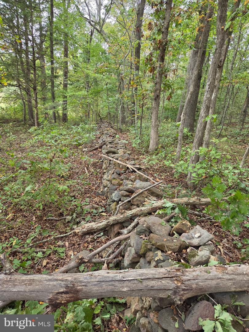 LAND SUNSET WOODS TRAIL, RIXEYVILLE, Virginia 22737, ,Land,For sale,LAND SUNSET WOODS TRAIL,VACU2011688 MLS # VACU2011688