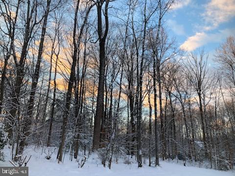 LAND SUNSET WOODS TRAIL, RIXEYVILLE, Virginia 22737, ,Land,For sale,LAND SUNSET WOODS TRAIL,VACU2011688 MLS # VACU2011688