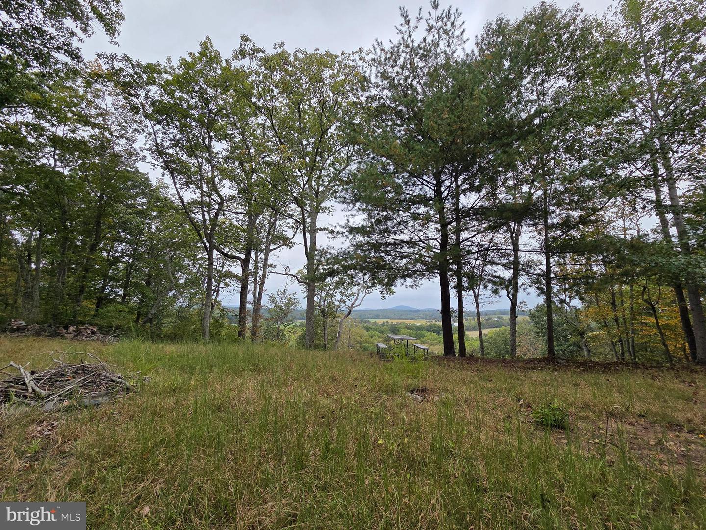 LAND SUNSET WOODS TRAIL, RIXEYVILLE, Virginia 22737, ,Land,For sale,LAND SUNSET WOODS TRAIL,VACU2011688 MLS # VACU2011688