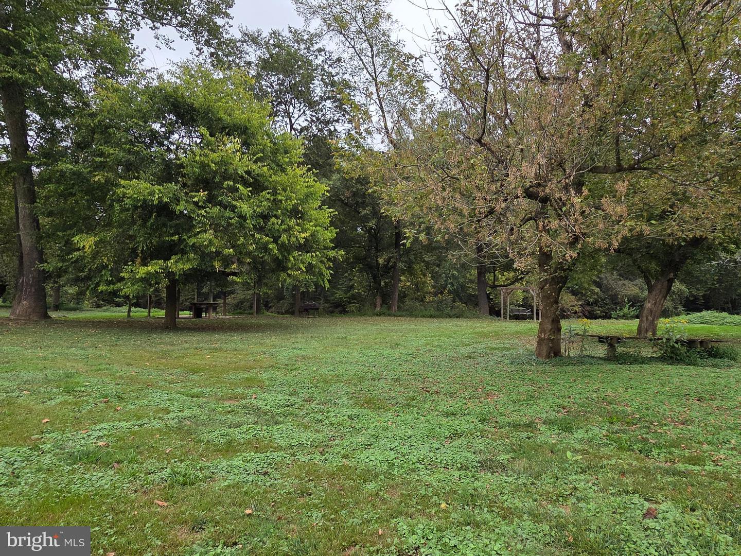 LAND SUNSET WOODS TRAIL, RIXEYVILLE, Virginia 22737, ,Land,For sale,LAND SUNSET WOODS TRAIL,VACU2011688 MLS # VACU2011688