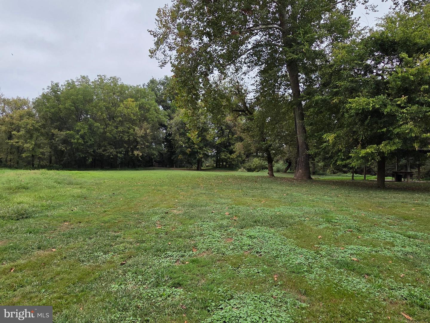 LAND SUNSET WOODS TRAIL, RIXEYVILLE, Virginia 22737, ,Land,For sale,LAND SUNSET WOODS TRAIL,VACU2011688 MLS # VACU2011688
