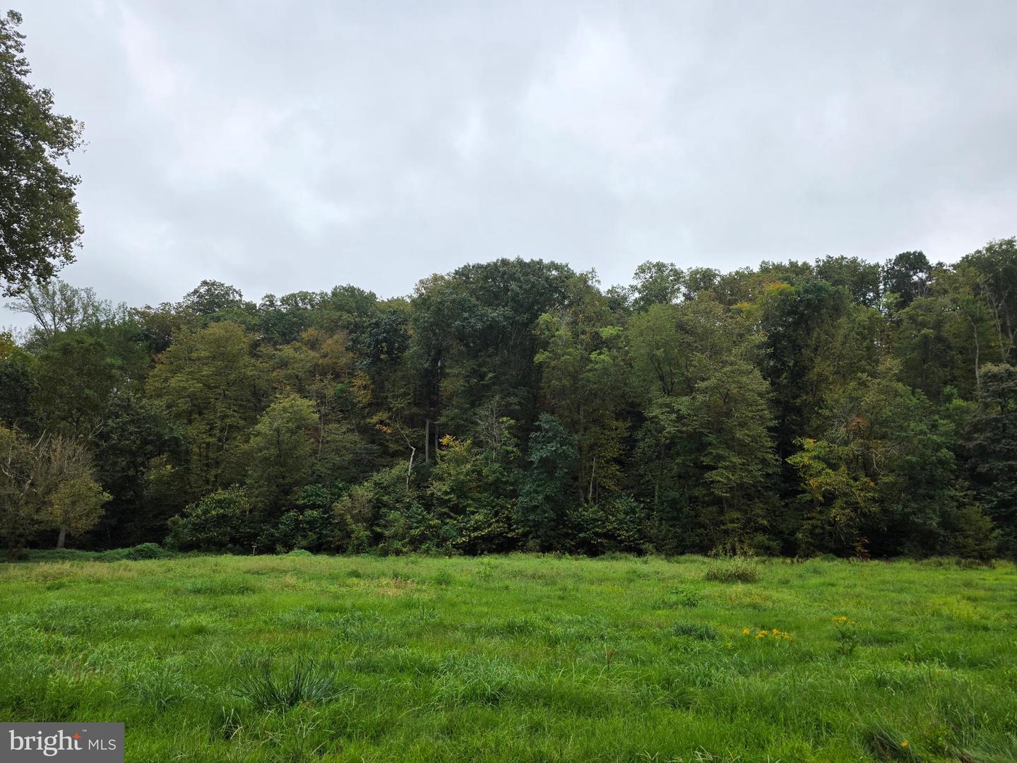 LAND SUNSET WOODS TRAIL, RIXEYVILLE, Virginia 22737, ,Land,For sale,LAND SUNSET WOODS TRAIL,VACU2011688 MLS # VACU2011688