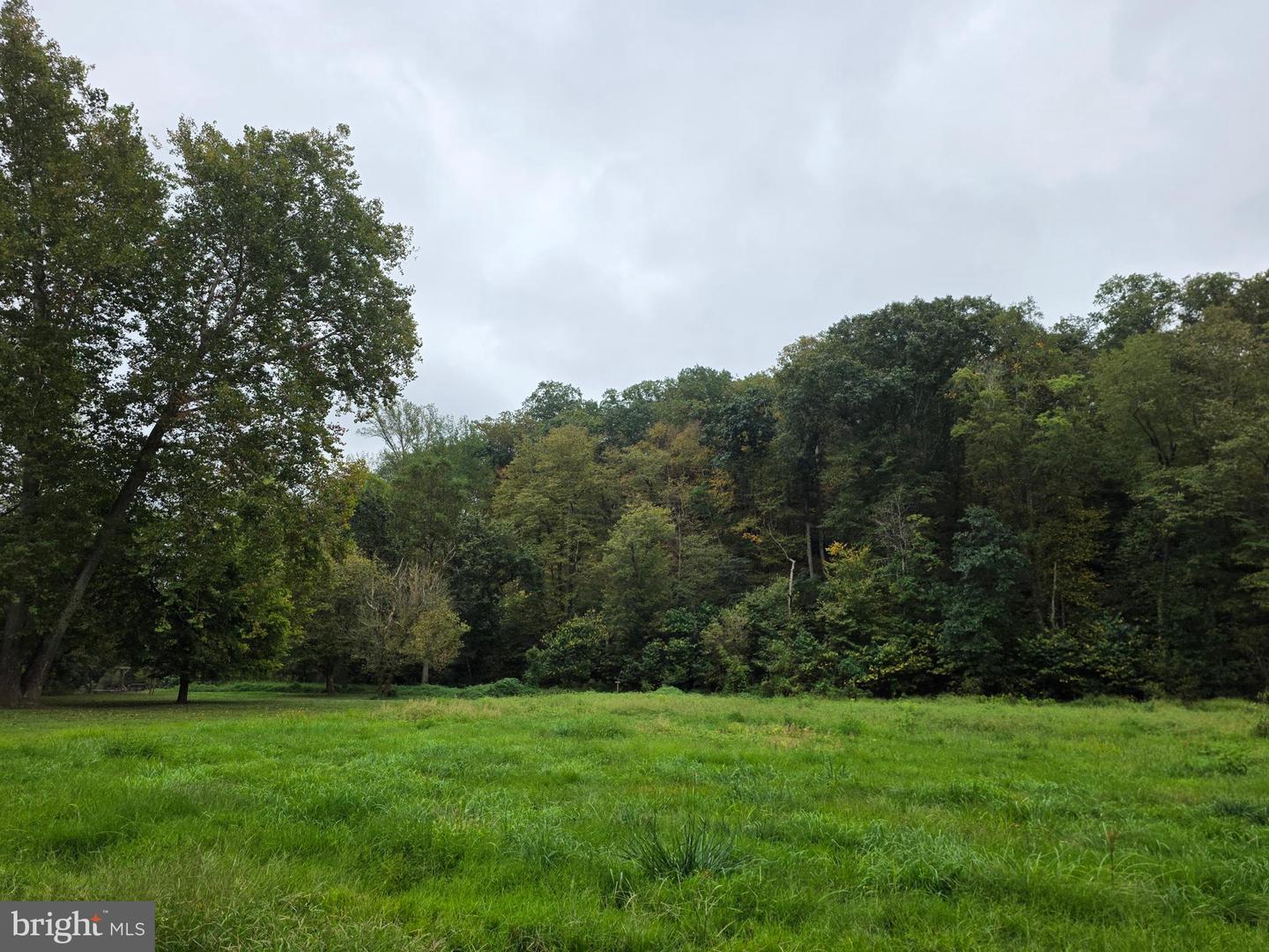 LAND SUNSET WOODS TRAIL, RIXEYVILLE, Virginia 22737, ,Land,For sale,LAND SUNSET WOODS TRAIL,VACU2011688 MLS # VACU2011688