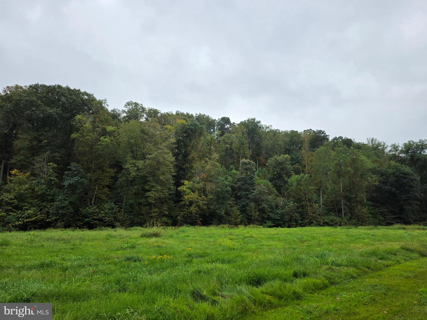 LAND SUNSET WOODS TRAIL, RIXEYVILLE, Virginia 22737, ,Land,For sale,LAND SUNSET WOODS TRAIL,VACU2011688 MLS # VACU2011688