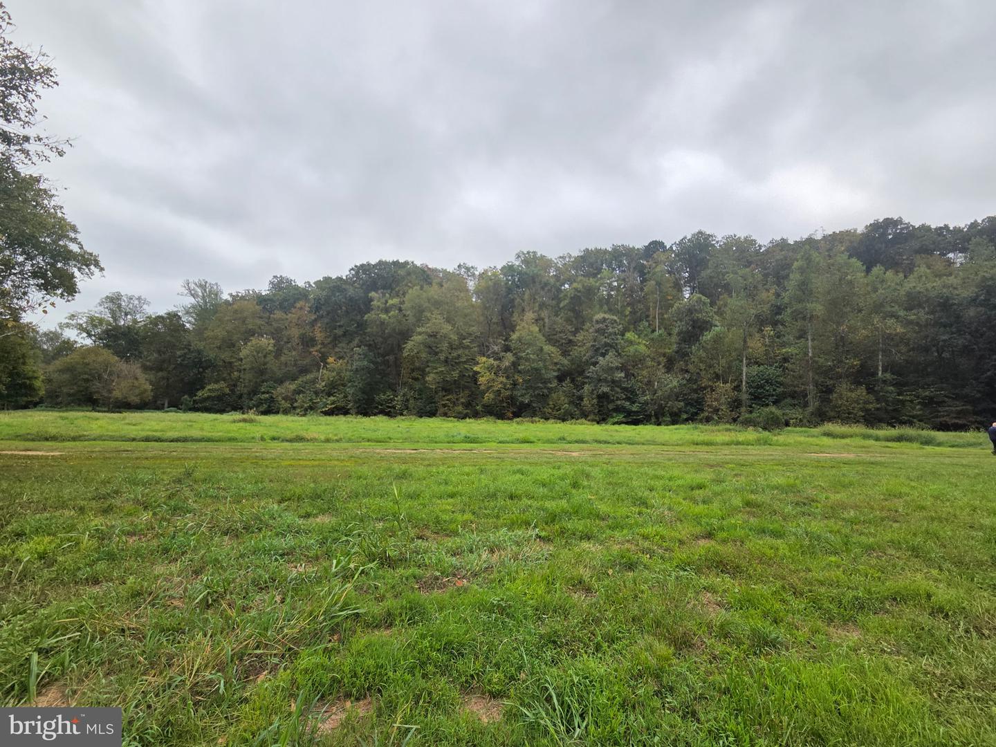 LAND SUNSET WOODS TRAIL, RIXEYVILLE, Virginia 22737, ,Land,For sale,LAND SUNSET WOODS TRAIL,VACU2011688 MLS # VACU2011688