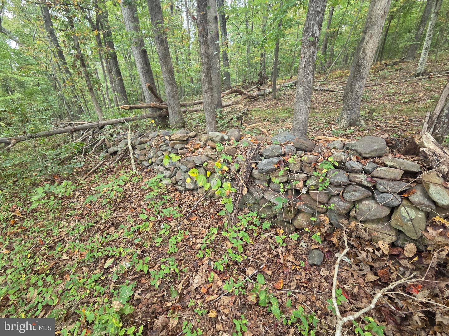 LAND SUNSET WOODS TRAIL, RIXEYVILLE, Virginia 22737, ,Land,For sale,LAND SUNSET WOODS TRAIL,VACU2011688 MLS # VACU2011688
