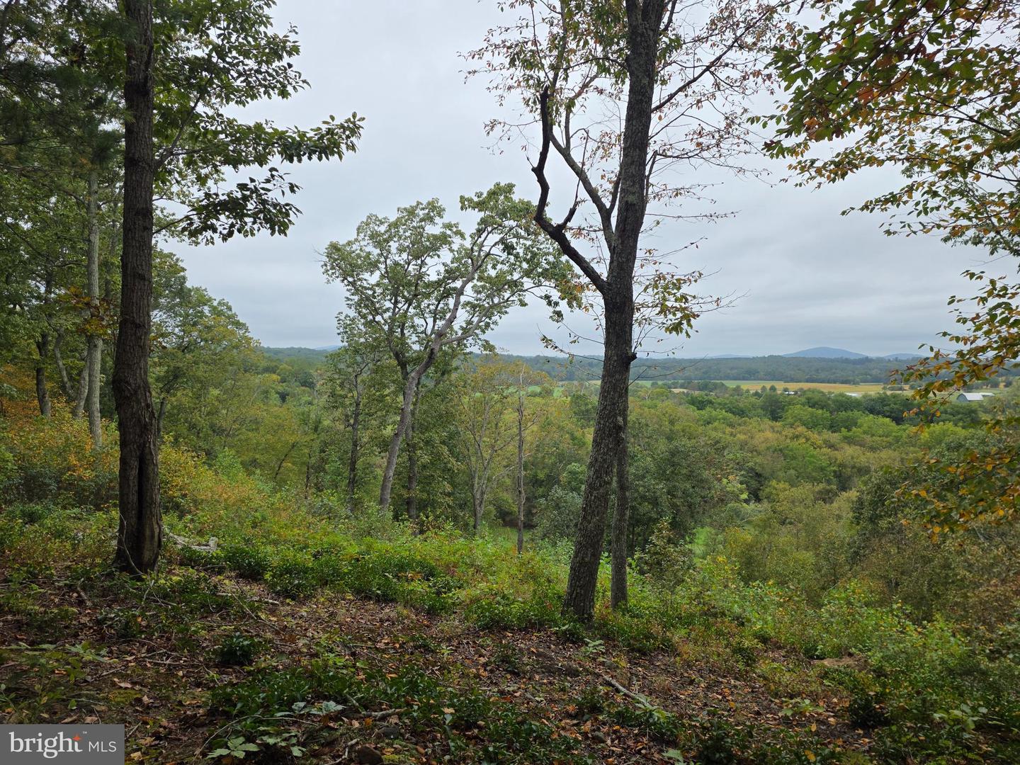 LAND SUNSET WOODS TRAIL, RIXEYVILLE, Virginia 22737, ,Land,For sale,LAND SUNSET WOODS TRAIL,VACU2011688 MLS # VACU2011688