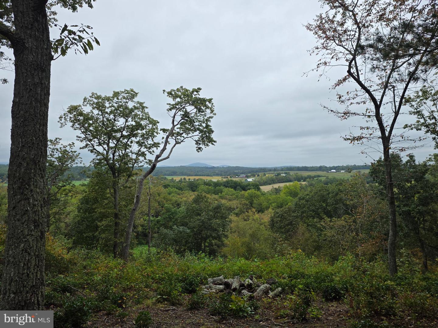 LAND SUNSET WOODS TRAIL, RIXEYVILLE, Virginia 22737, ,Land,For sale,LAND SUNSET WOODS TRAIL,VACU2011688 MLS # VACU2011688