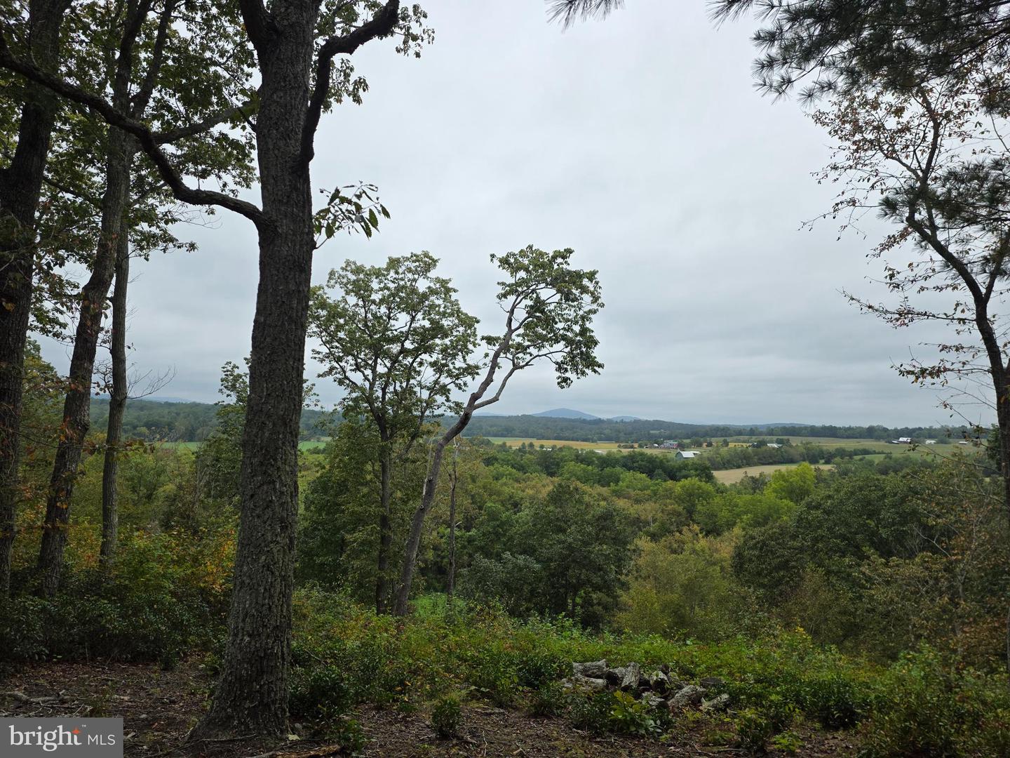LAND SUNSET WOODS TRAIL, RIXEYVILLE, Virginia 22737, ,Land,For sale,LAND SUNSET WOODS TRAIL,VACU2011688 MLS # VACU2011688