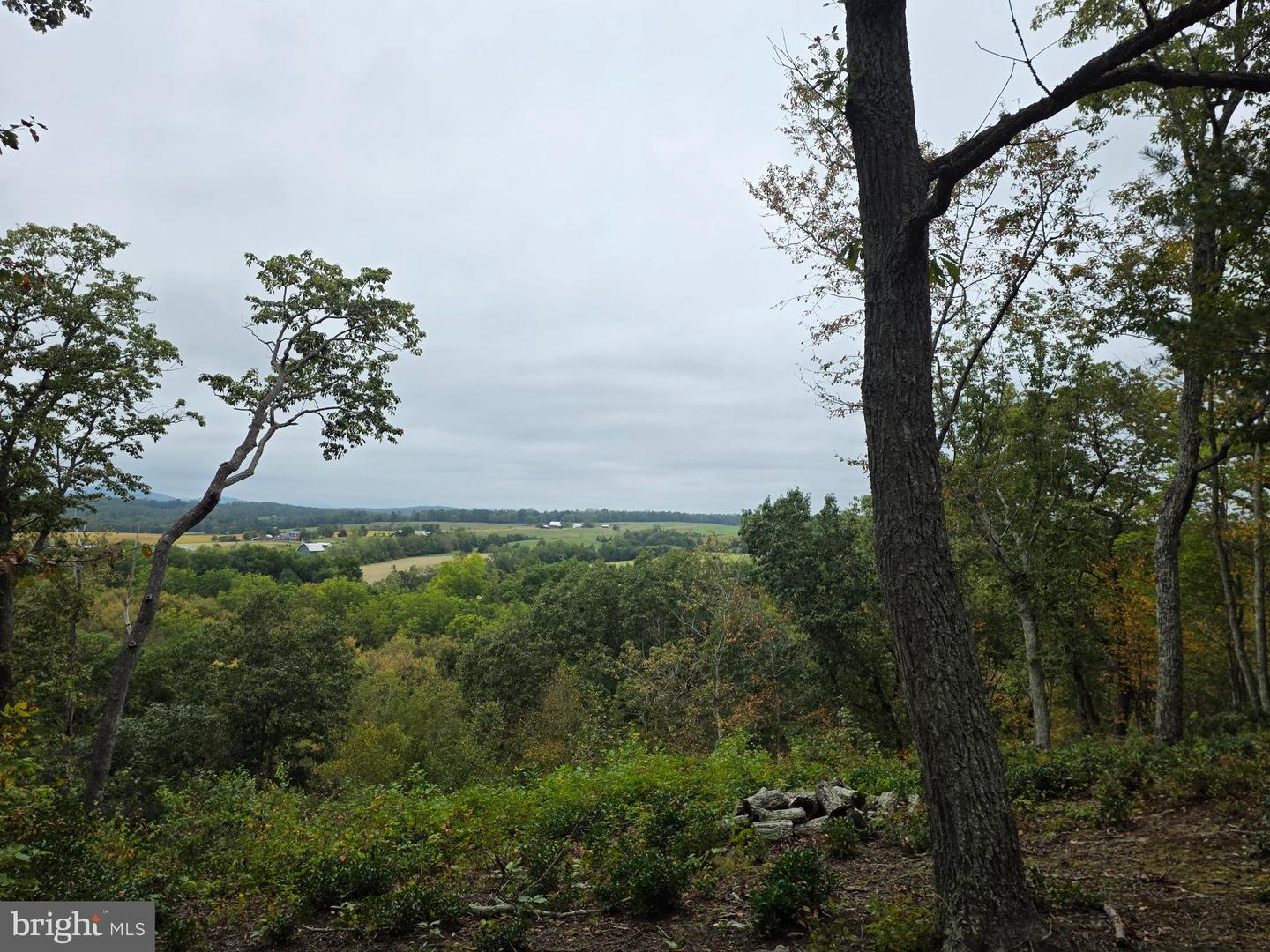 LAND SUNSET WOODS TRAIL, RIXEYVILLE, Virginia 22737, ,Land,For sale,LAND SUNSET WOODS TRAIL,VACU2011688 MLS # VACU2011688