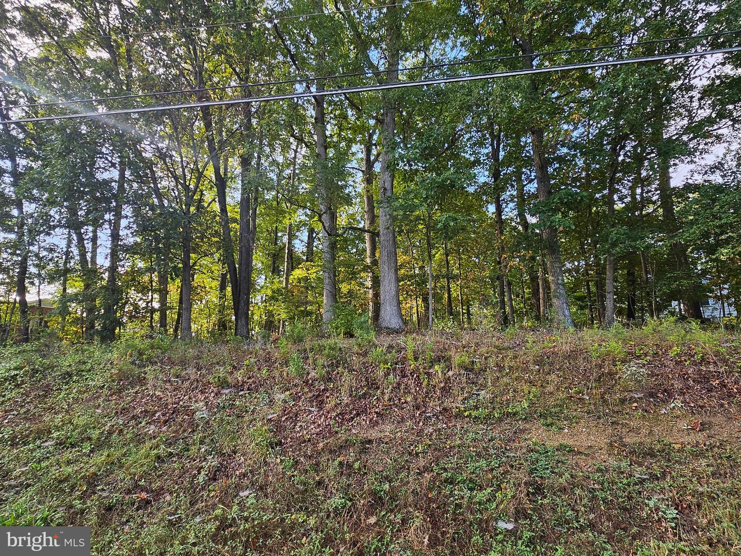 2064 SENSENY RD, WINCHESTER, Virginia 22602, ,Land,For sale,2064 SENSENY RD,VAFV2037066 MLS # VAFV2037066
