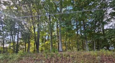 2064 SENSENY RD, WINCHESTER, Virginia 22602, ,Land,For sale,2064 SENSENY RD,VAFV2037066 MLS # VAFV2037066